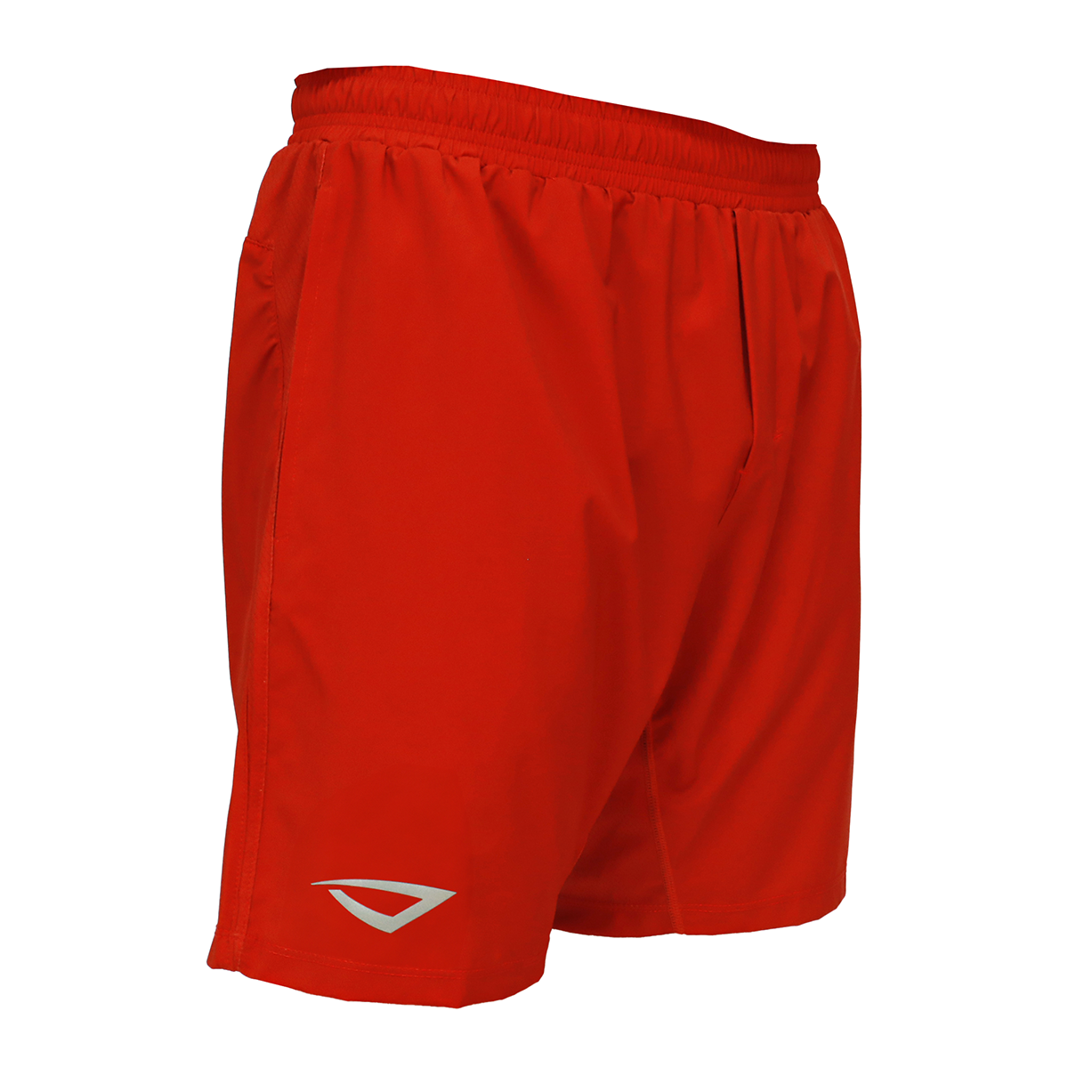 LEGACY TRAINING SHORTS